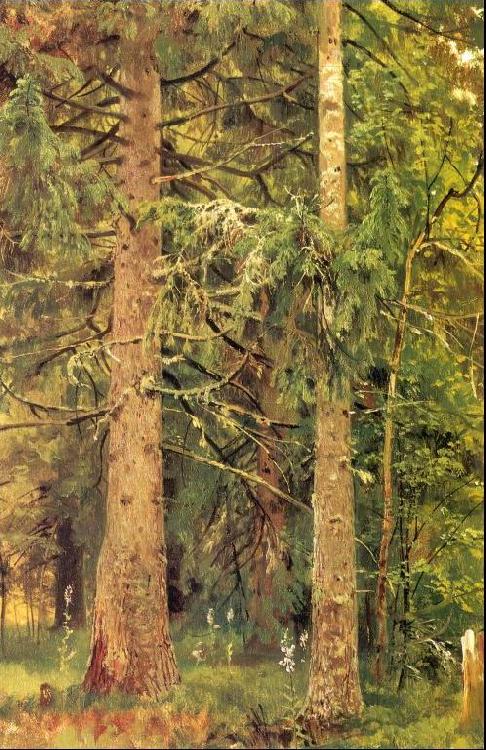 Ivan Shishkin Fir Forest France oil painting art